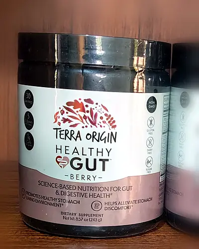 Healthy Gut, Berry by Terra Origin
